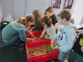Fotografie 20251015-104117_original.jpg