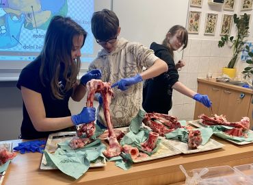 Obrázek k aktualitě Kosti v praxi