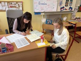 Fotografie img-9211_original.jpeg