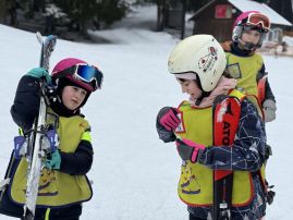 Fotografie img-0871_original.jpeg