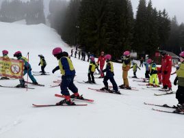 Fotografie img-0913_original.jpeg