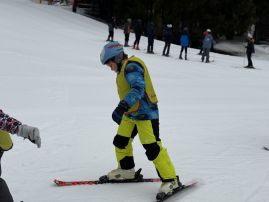 Fotografie img-0917_original.jpeg