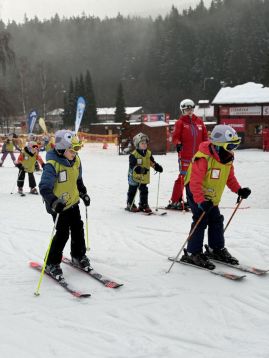 Fotografie img-0931_original.jpeg