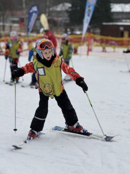 Fotografie img-0933_original.jpeg