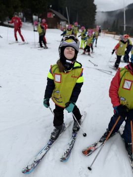 Fotografie img-0963_original.jpeg