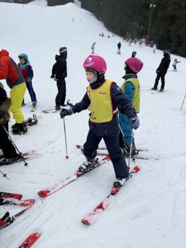 Fotografie img-0970_original.jpeg