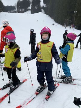 Fotografie img-0972_original.jpeg