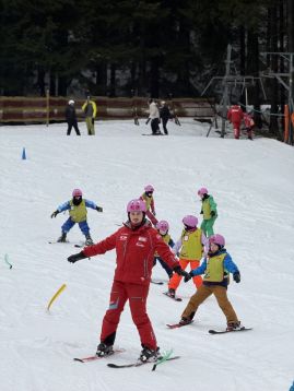 Fotografie img-0979_original.jpeg