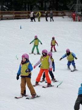 Fotografie img-0981_original.jpeg