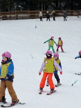 Fotografie img-0982_original.jpeg