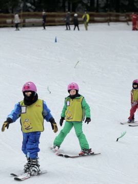 Fotografie img-0984_original.jpeg