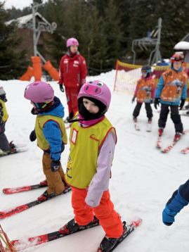 Fotografie img-0988_original.jpeg