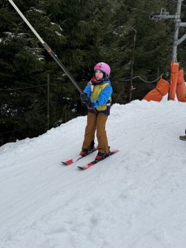 Fotografie img-1003_original.jpeg