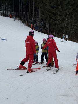 Fotografie img-1126_original.jpeg