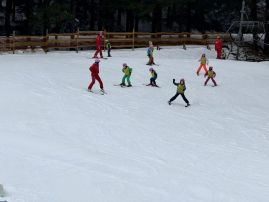 Fotografie img-1127_original.jpeg