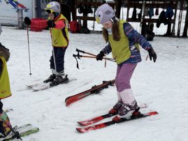 Fotografie img-1146_original.jpeg