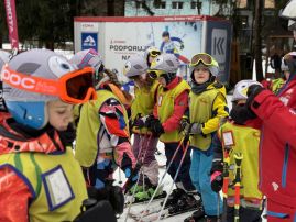 Fotografie img-1149_original.jpeg