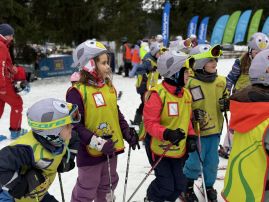 Fotografie img-1150_original.jpeg