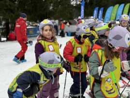 Fotografie img-1151_original.jpeg