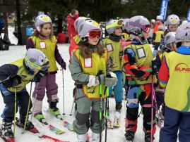 Fotografie img-1152_original.jpeg