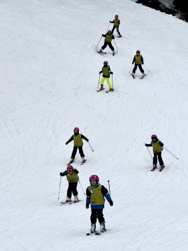 Fotografie img-1168_original.jpeg