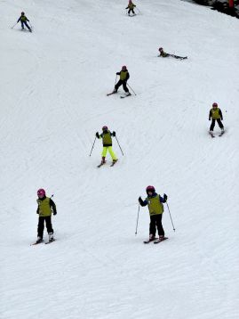 Fotografie img-1169_original.jpeg