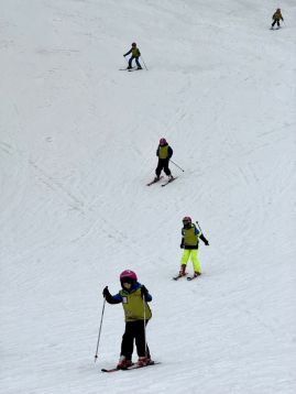 Fotografie img-1170_original.jpeg