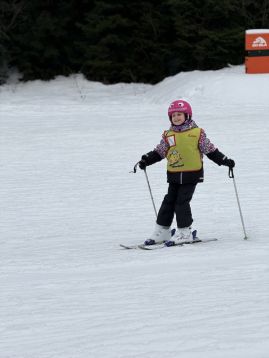 Fotografie img-1176_original.jpeg