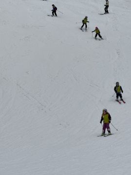 Fotografie img-1179_original.jpeg