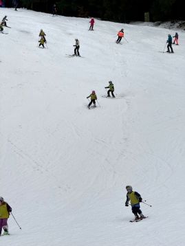 Fotografie img-1180_original.jpeg