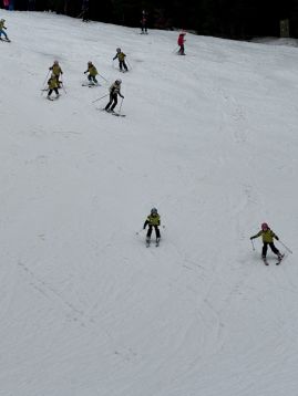 Fotografie img-1181_original.jpeg