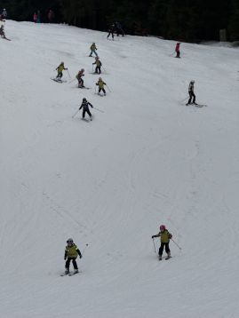 Fotografie img-1182_original.jpeg