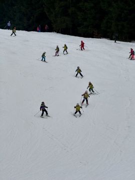 Fotografie img-1184_original.jpeg