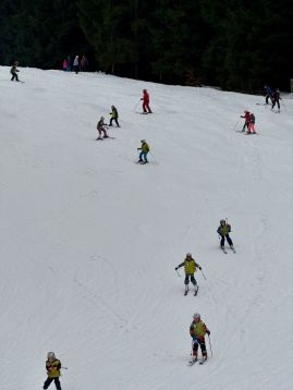 Fotografie img-1185_original.jpeg