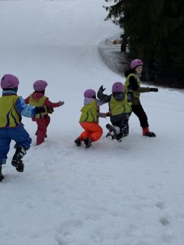 Fotografie img-1261_original.jpeg