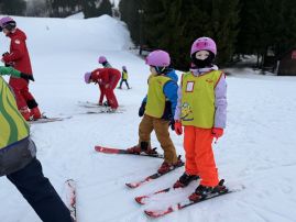 Fotografie img-1272_original.jpeg