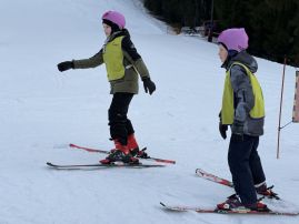 Fotografie img-1275_original.jpeg