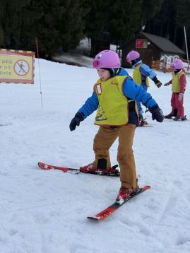 Fotografie img-1278_original.jpeg