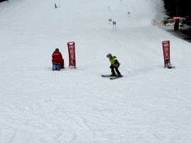 Fotografie img-1296_original.jpeg