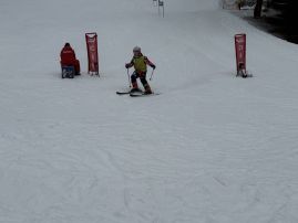 Fotografie img-1298_original.jpeg