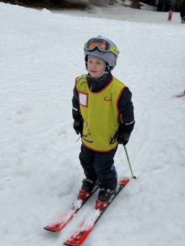 Fotografie img-1300_original.jpeg