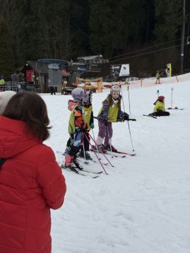 Fotografie img-1303_original.jpeg