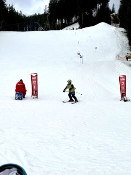 Fotografie img-1304_original.jpeg