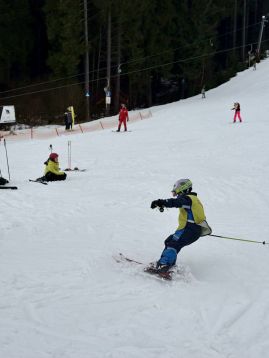 Fotografie img-1305_original.jpeg