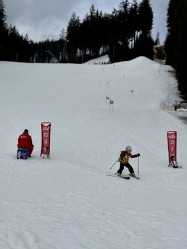 Fotografie img-1306_original.jpeg