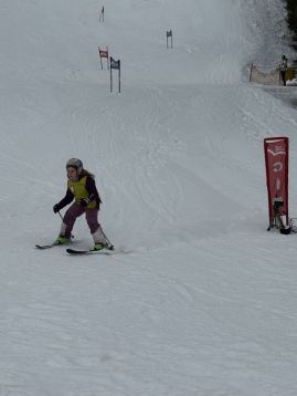 Fotografie img-1310_original.jpeg