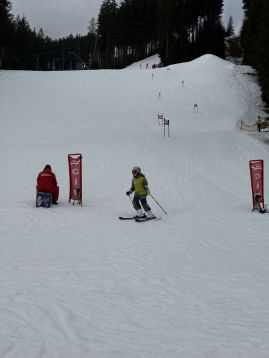 Fotografie img-1311_original.jpeg