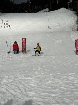 Fotografie img-1317_original.jpeg