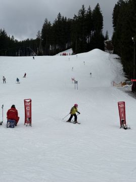 Fotografie img-1318_original.jpeg