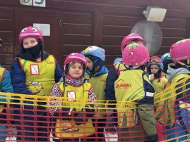 Fotografie img-1329_original.jpeg